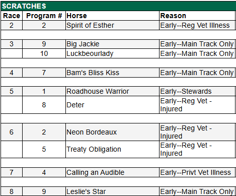 juancarlosrm_1's tweet photo. 📋 Ejemplares retirados para la jornada de hoy, jueves 25 de junio, en el Hipódromo de Aqueduct.

Cortesía: @TheNYRA 

#Aqueduct #HorseRacing #Hipismo #NYRA #Retirados https://t.co/UxhuKeBYKb