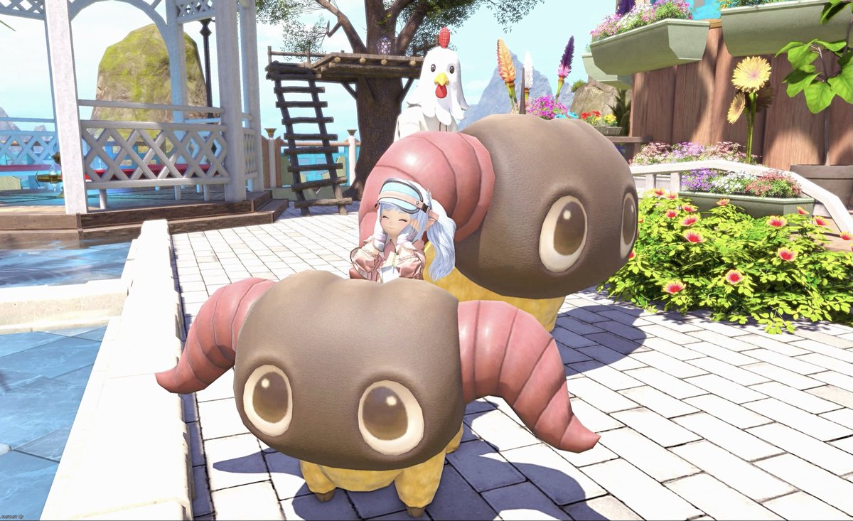 Kd2Hk's tweet photo. ヤーンのツーショット📷
やっぱりかわよい！

#FF14 #ララフェル https://t.co/RDDgTygmbO
