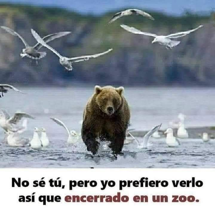 EnsedeCiencia's tweet photo. 🖤 https://t.co/6QCvV7ad6g
