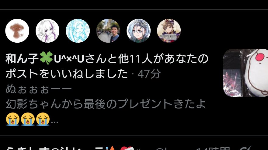 ノラトトさん@がんばらない tweet media