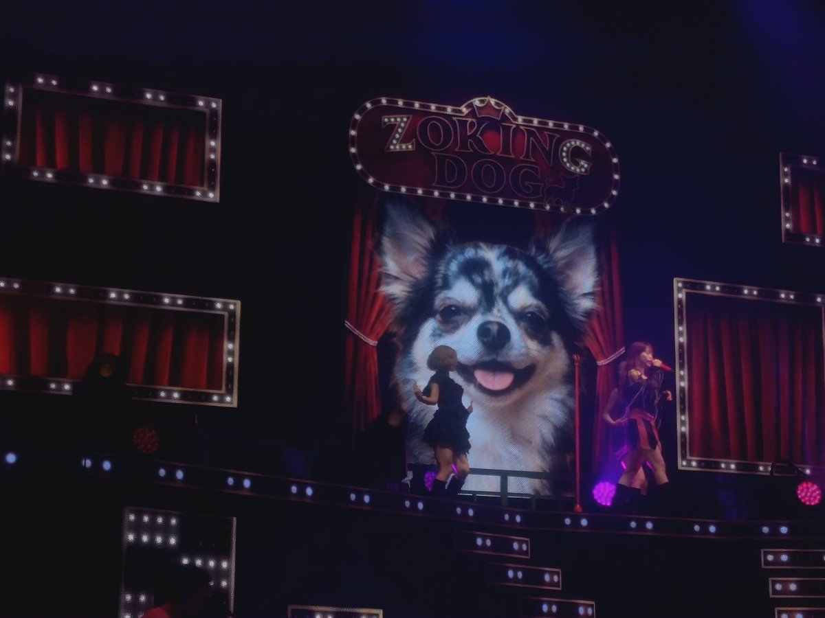 riki72598450's tweet photo. AiNA THE END
LIVE TOUR 206 0PiCNiCat大阪
アイナのライブは毎回スクリーンでも楽しませてくれていて
今回は葉蔵に生アイナも登場してた🐕️
#アイナ・ジ・エンド
#PiCNC https://t.co/UYQSnLZcga