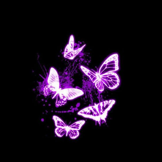 BUTTERFLY0FX's tweet photo. https://t.co/ErbYuKB2iB