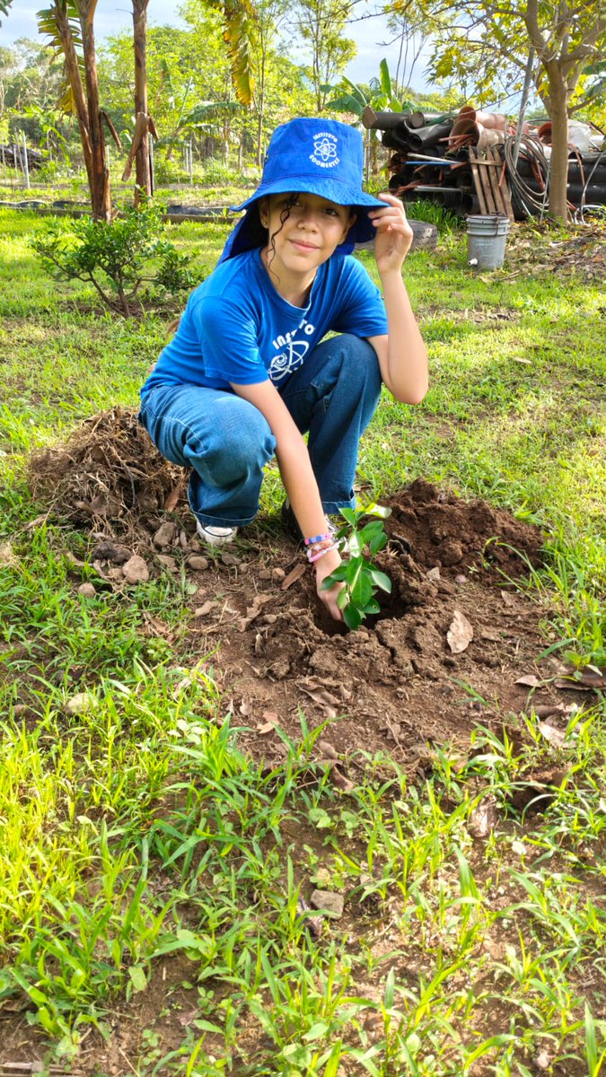 Ecomentesac's tweet photo. El pasado 17 de junio los geniecitos realizaron la décima segunda reforestación ECOMENTES, una actividad encaminada a formar y reforzar el hábito del cuidado del medio ambiente en nuestros pequeños. Ya son más de 1,000 árboles plantados en distintos puntos de la ciudad. https://t.co/cTCnjLHkCJ