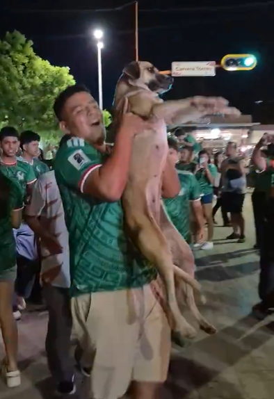 ElFinanciero_Mx's tweet photo. ¿Milagro tricolor? 🐶🇲🇽❤️ Una perrita fue localizada gracias a un video en vivo de las celebraciones por el triunfo de México sobre Chequia. Su familia la reconoció entre la multitud y logró reencontrarse con ella: "la vida es buena México ganó y mi perrita la encontré después de muchooo tiempo por un en vivo, gracias por los mensajes ya está en casa y la vamos a llevar al veterinario", confirmaron🥹🎉

📷:  redes / Ale Garcia
