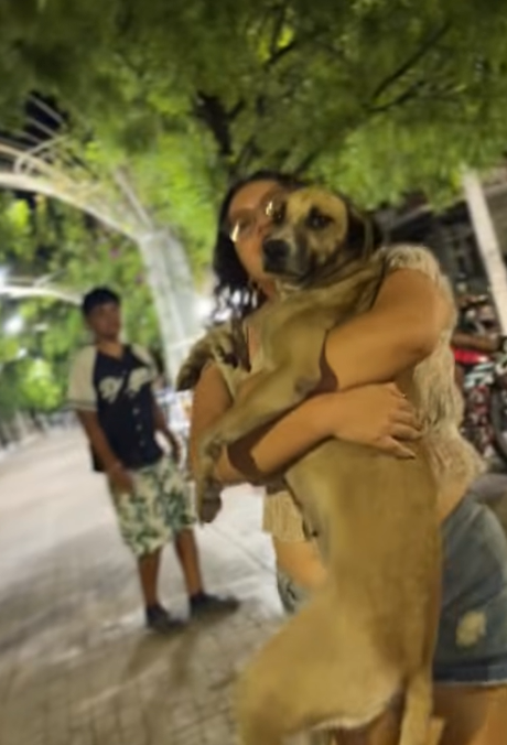 ElFinanciero_Mx's tweet photo. ¿Milagro tricolor? 🐶🇲🇽❤️ Una perrita fue localizada gracias a un video en vivo de las celebraciones por el triunfo de México sobre Chequia. Su familia la reconoció entre la multitud y logró reencontrarse con ella: "la vida es buena México ganó y mi perrita la encontré después de muchooo tiempo por un en vivo, gracias por los mensajes ya está en casa y la vamos a llevar al veterinario", confirmaron🥹🎉

📷:  redes / Ale Garcia