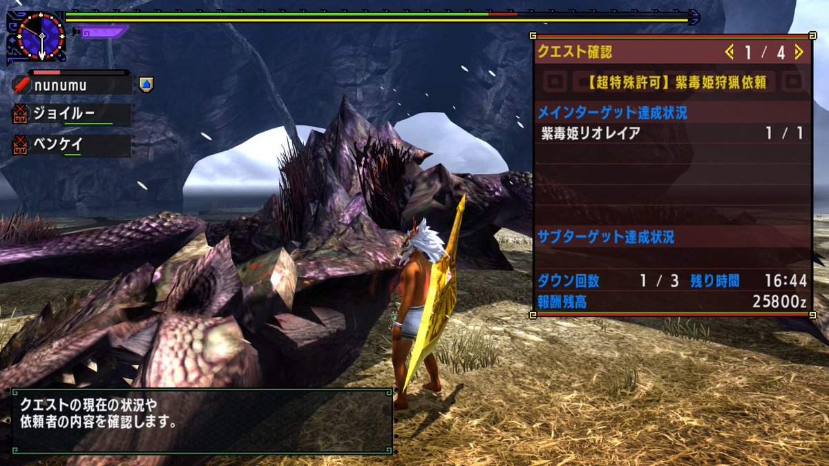 nnmuuuu's tweet photo. いいお守りがなくてネセトなのに穴空きというクソ装備
#NintendoSwitch #MHXXNS https://t.co/8t2rVFYT94