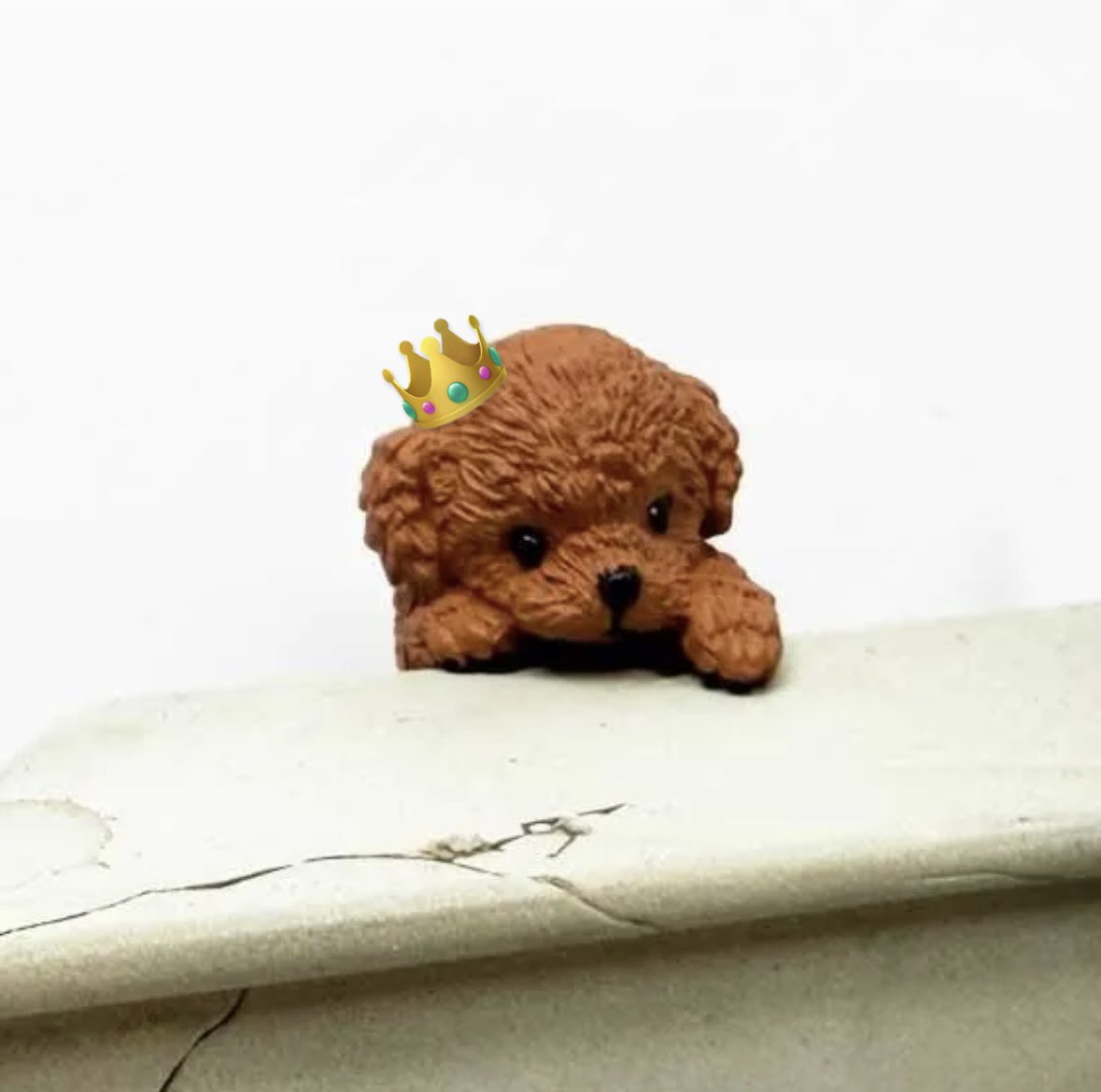 torihikers's tweet photo. 【交換】
ふちやすみ 色々わんこ

ガチャガチャ・カプセルトイ

��：コーギー×2
　　チワワ×1

求：プードル∞

東京在住
手渡しでも、郵送でも可能です。

よろしくお願いいたします😔🤲 https://t.co/uRv2ysqB9c