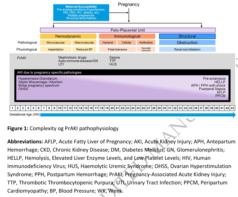 NDTsocial's tweet photo. Pathophysiology of pregnancy-associated acute kidney injury

https://t.co/YxuZpHhbJ4 https://t.co/R5PyYkpBPA