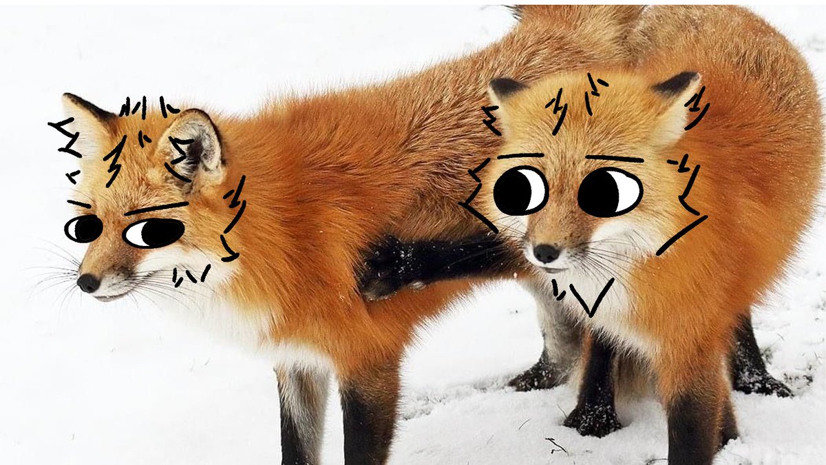 thecatidk's tweet photo. Another fox #fox #animal #art https://t.co/nggFPKrrUY