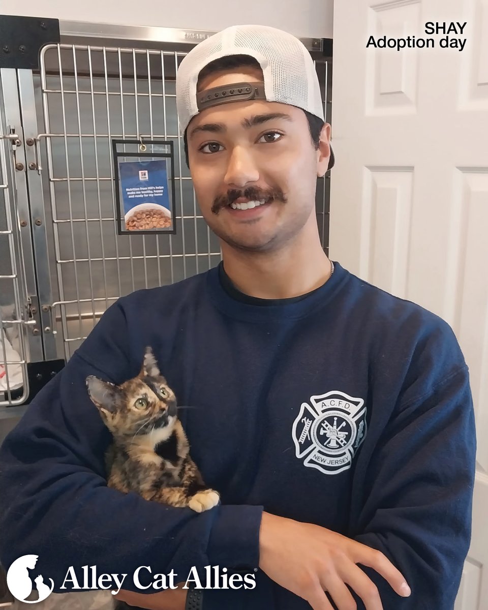 alleycatallies's tweet photo. You may remember Shay, who was rescued along with her siblings from a police station rooftop. After Alley Cat Allies coordinated the rescue and medical care, Shay was soon adopted...by the very same firefighter who climbed up and saved her! 🧑‍🚒

Today, months after her adoption, Mike--the firefighter--sent us an update on Shay. She goes by Brownie now and is all grown up! She spends carefree days enjoying meals, playing, and napping.

"Brownie is a sweet girl and always waiting for her Dad Mike to play with her and pet her. We're so glad we adopted beautiful, sweet Brownie. She makes our lives so happy," says Mike.

From daring rescues to critical community change, we're saving kittens like Shay (Brownie!) every day. Your support makes it all possible. To give to protect more cats and kittens, visit https://t.co/vlXUwprlLu