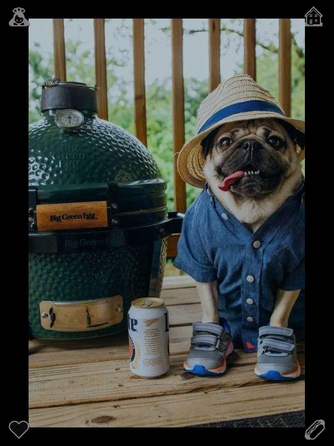 kaiii1223's tweet photo. Rural summer courtyards, shaded by grape trellises, offer endless leisure. Sitting beneath green vines, tasting sweet, ripe grapes amidst a cool breeze, embodies the simplest and most comfortable happiness of summer. 🎿Sausage with saucePink socks https://t.co/ZrpbQUdPuI