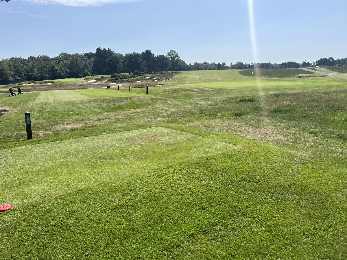 MoortownGreens's tweet photo. Tough week working in the heat @MoortownGC course starting to brown off and play very firm and fast.  
Ditches being flailed again,  hopefully this heat will slow them down a bit https://t.co/QG32xrqldt