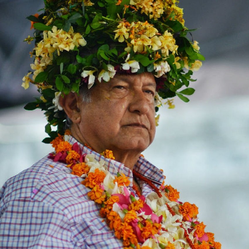 PFifiona's tweet photo. La flor más bella del ejido de Monsiváis... 🌺 https://t.co/3VHOa0TEv0