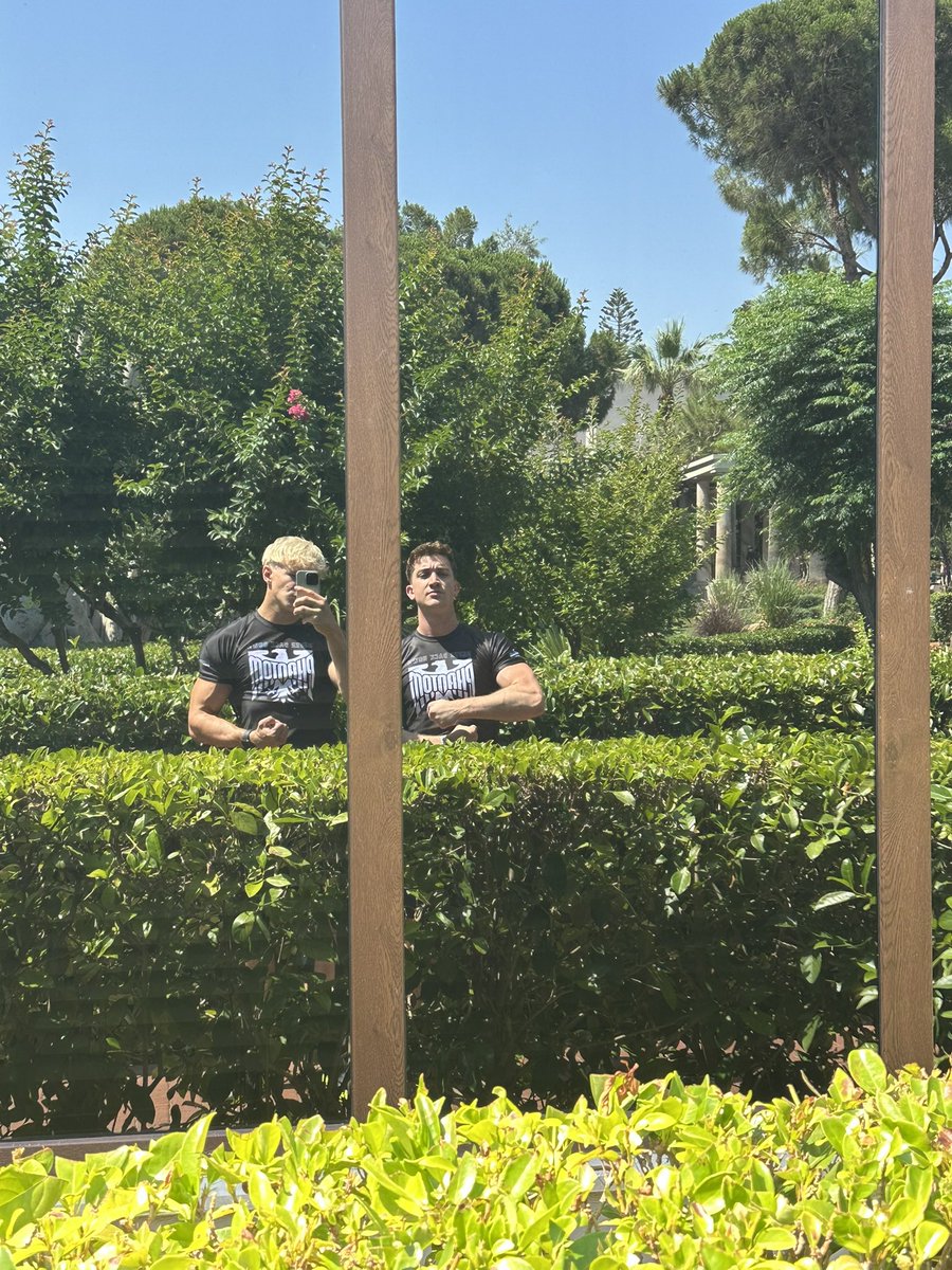 leonvcss tweet picture