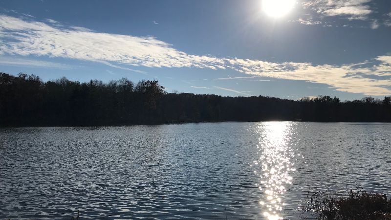 FriendsLincoln's tweet photo. Volunteer Date Change - https://t.co/CWgFLxWRm2 https://t.co/QYiNwVPGH0