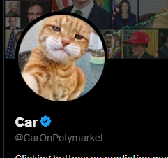 BagCalls's tweet photo. CarOnPolymarket has lost the Polymarket badge 

What do you guys think of this decision by Polymarket? https://t.co/YvK5e7izmw