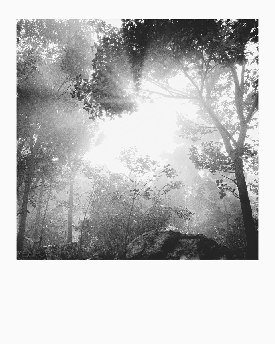 TempoUo's tweet photo. Cascader Demo Shots📸…
Captured in the CASCADER Demo | Edited in LightRoom and PicsArt
@lushfoil
#cascader
#virtualphotography
#gamingphotography
#PhotoMode
#vpcommunity https://t.co/b2DUdnz6Ix