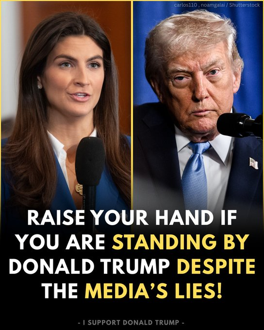 Anti Left Memes tweet media