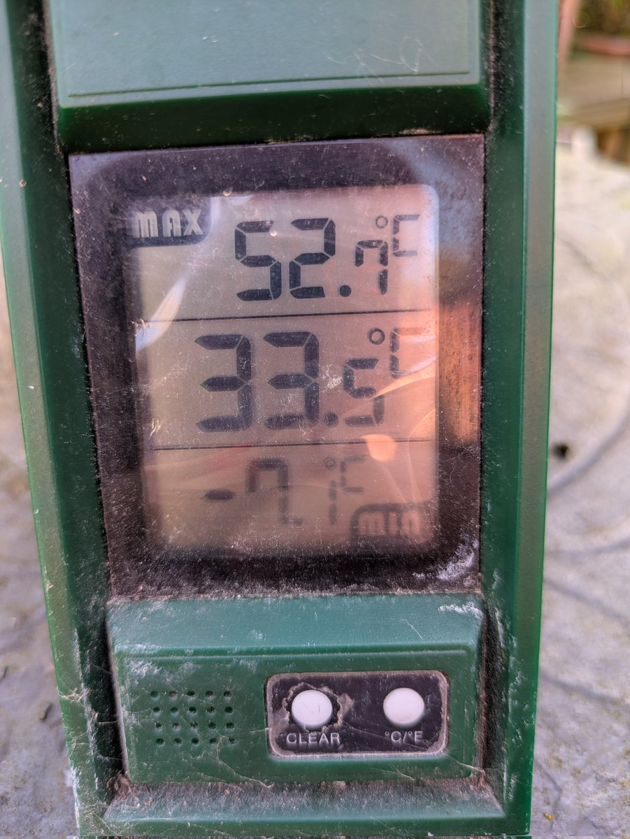 fi_torbet's tweet photo. So this is what it feels like to have been collected by Satan in the night 🥵 the greenhouse reached 52°c it's still 33.5 in the shade at 6pm, I'm pretending to be built for this nonsense & the cat has given up on life 🙊🔥😂🐾🐾 #scotland #ayrshire #melting #toohotoutside https://t.co/6Xuxei8fVH