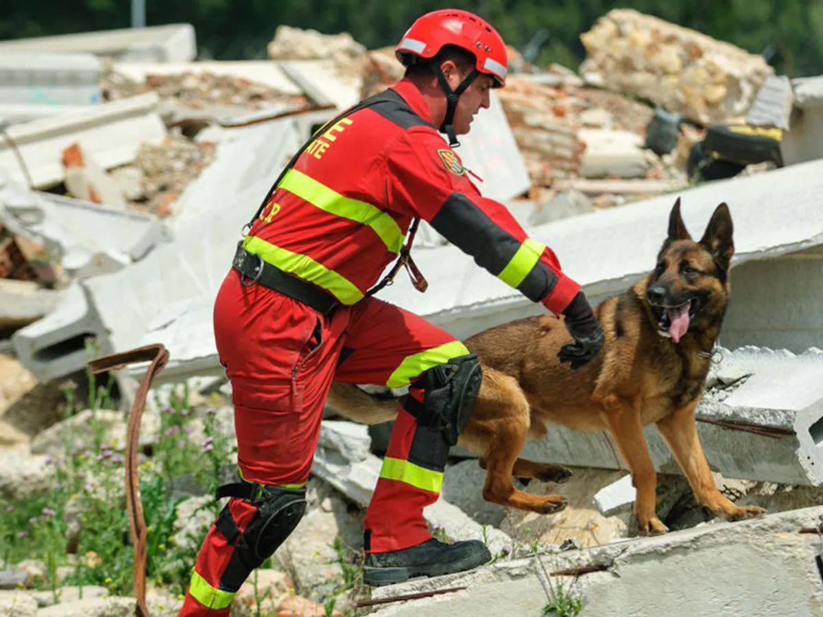 Defensagob's tweet photo. La Unidad Canina de la @UMEgob será un elemento clave para el despliegue en #Venezuela. 

Estos binomios de guía y perros están altamente especializados en la búsqueda, localización y rescate de personas, actuando en catástrofes naturales, derrumbes, inundaciones y grandes áreas. https://t.co/3mmJ7WT9dz