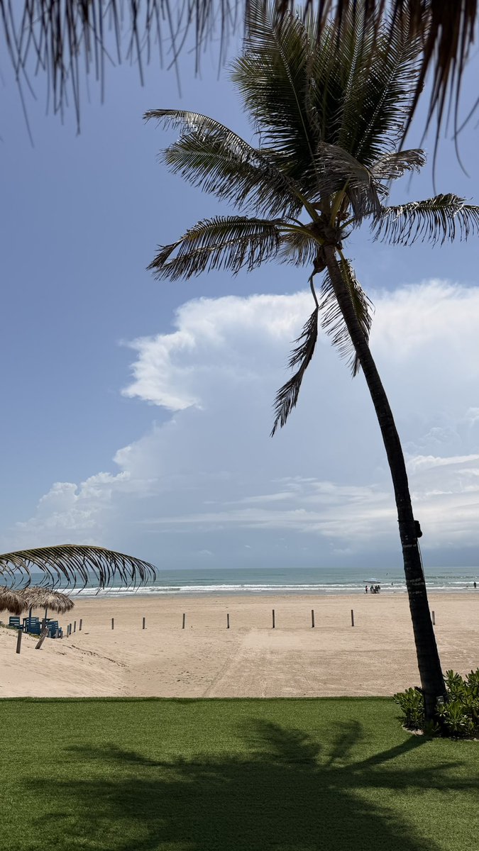 LUISFRUVALCABA's tweet photo. 🌴lifesgood🌊 https://t.co/B4qDpFFD1L