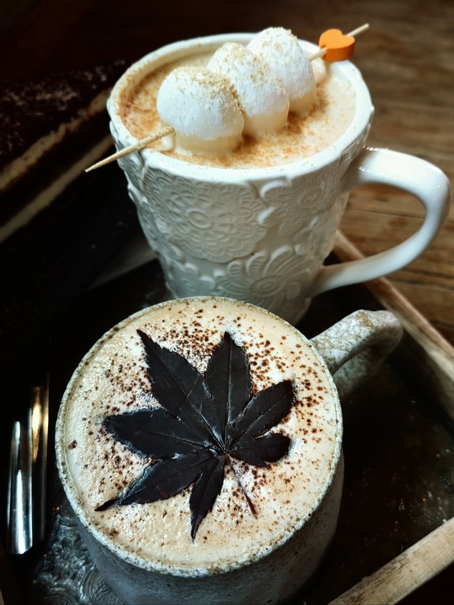 BerteRay45277's tweet photo. Hey, coffee buddy! Just grabbed your usual oat latte with extra foam at the shop down the block—saved your spot by the window. https://t.co/SOKtUejiT6