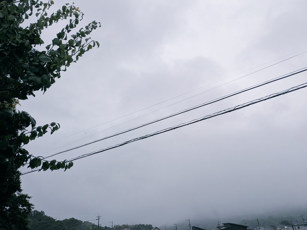 hazzzzzu's tweet photo. おはようございます
雨が降り続く 金曜の朝です

昨日からずーっと降ってて
家のなかがジメジメ
風神様雨はもういいですよ〜
皆さんご安全に🌧️🙏🏻

アガパンサスが咲き始めたけど
雨粒が重くて下を向いてます
雨が似合うお花ですね

さぁ今日も
体調に気をつけて
心そよそよの1日を〜🍀🌧️🐸🌧️☔️ https://t.co/k4VrGJjKkw