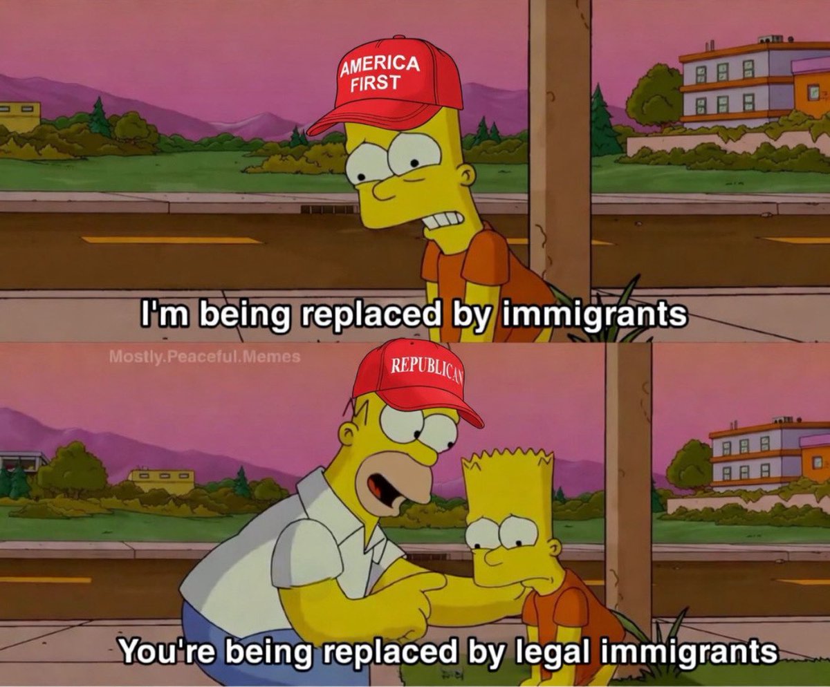 MostlyPeaceful's tweet photo. This is the result of legal immigration https://t.co/cLgNEV7VYD
