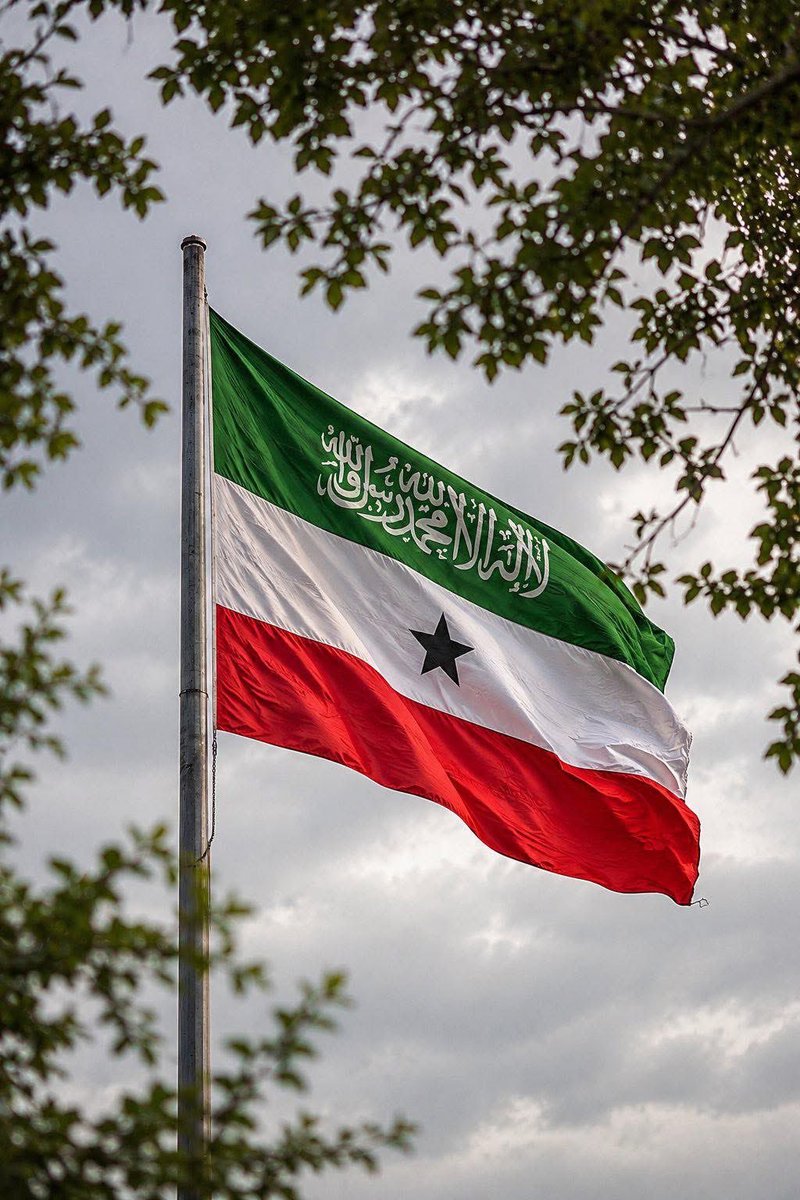 alryamyshyl's tweet photo. علم التوحيد |   راية شامخة ترفرف في سماء العالم . https://t.co/3PeYW9Grng