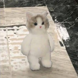 0xbalthazar's tweet photo. Cats don't woof.
Dogs don't meow.

wif woof, miu meow.

solana:7LNFZcNigZay5U9e2sq6n2Z4iM8BC2Dd53L14pwvpump > solana:B2jVg7mdwzUGDeS63ZMHs6wHKchpTwBwZmuBJUZQEF3q solana:5pYB12kEhfhSFXJjZ7JtyqDpt6uUqhsF6iu6Ee9spump 

iykyk. https://t.co/Ph3p5fHYOY