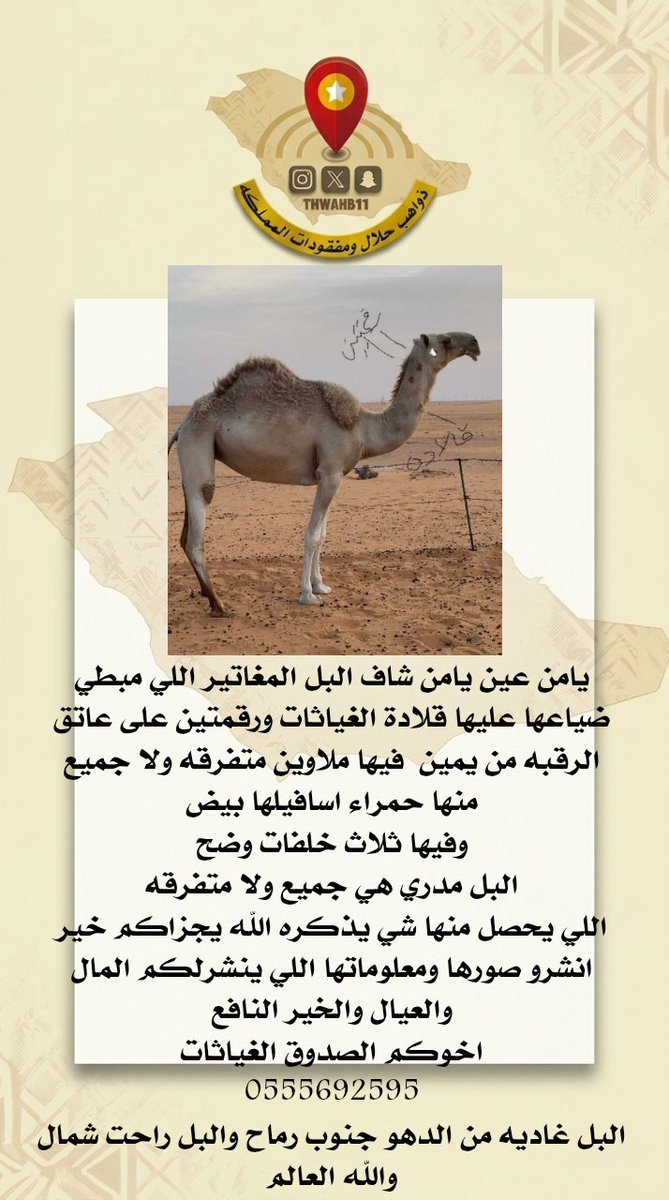thwahb11's tweet photo. #عاجل
 #مسروق #مفقود
#ذواهب_حلال_ومفقودات_المملكه 
#ترند 
#ذهيب
#اكسبلور https://t.co/ip61iBVKDW