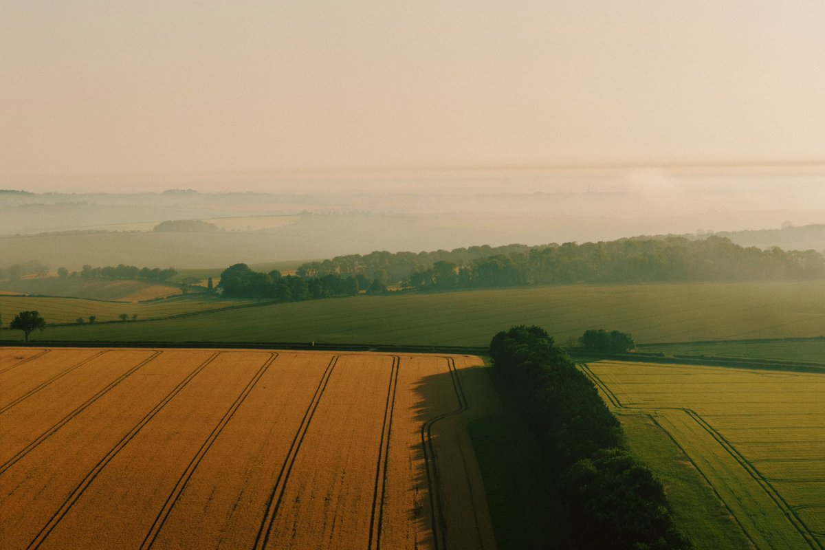 DanielCasson1's tweet photo. Lincolnshire // https://t.co/XtXyzcn4HY