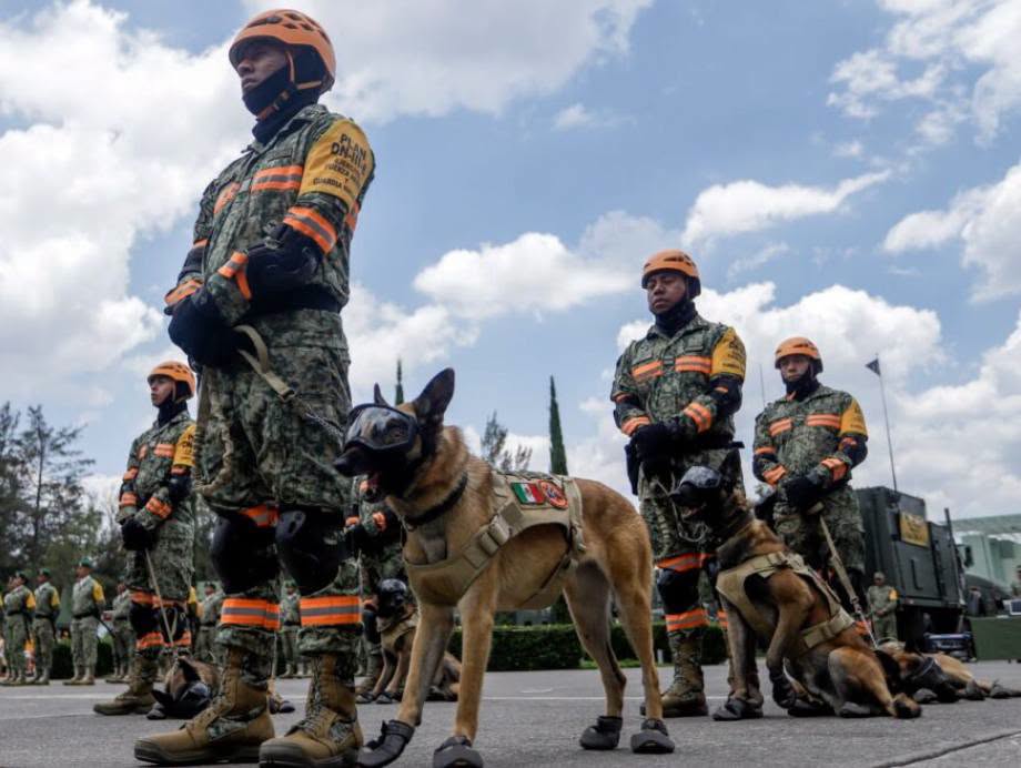foro_militar's tweet photo. 🪖🇲🇽🫡¡MÉXICO SIEMPRE SOLIDARIO!

México envía 250 rescatistas del Ejército Mexicano a Venezuela tras los sismos de 7.2 y 7.5. Van a apoyar en la búsqueda y rescate de personas atrapadas.

¡FUERZA HERMANOS https://t.co/Tp7sn2rEpl