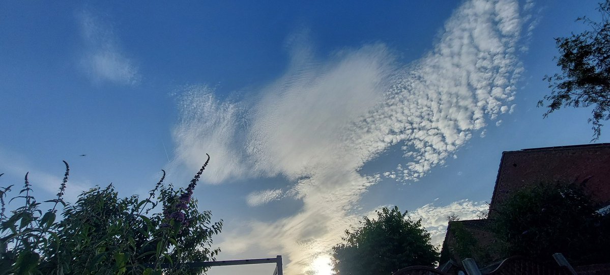 Viornagirl's tweet photo. Such a beautiful summers evening. https://t.co/mjCOWRxccV