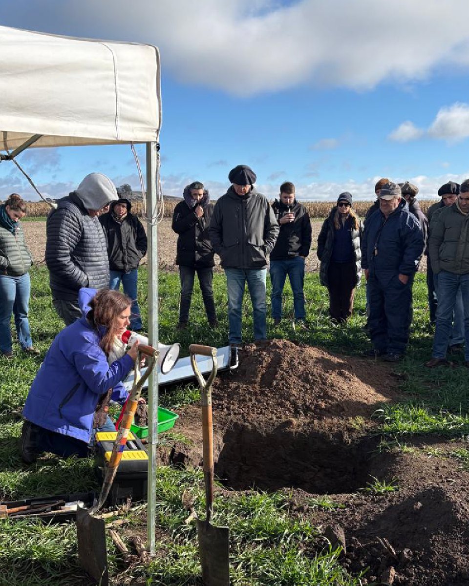 DosCaciquesSRL's tweet photo. 🌱 Estuvimos presentes en la jornada a campo organizada por @TandiliaReg  realizada en el establecimiento Las 2N, donde se compartieron experiencias sobre 28 años de integración agrícola-ganadera en siembra directa.
 
🤝Gracias a todos los participantes por la jornada compartida. https://t.co/bK5kLrmgMP