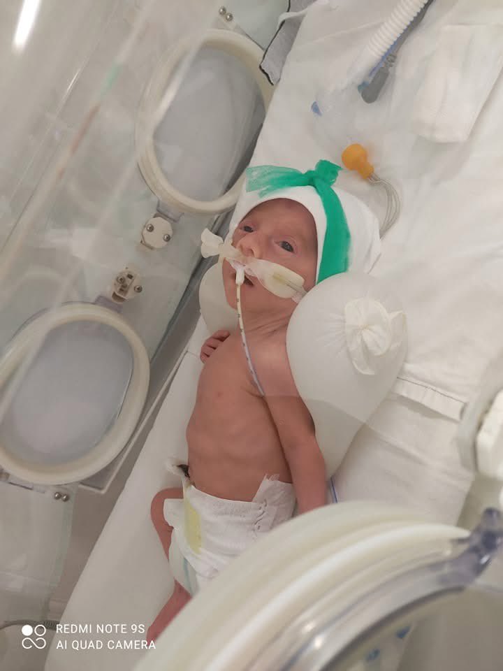 Uccocukanngyep's tweet photo. Sedat  Reisim biliyorum ki görsen bir anneyi geri cevirmessin 🙏🏻 3 evladımla yaşam mücadelesi vermeye çalışıyorum ama artık tükendim ne olur bir el uzat bizlere de doğum gününü kutlar memleketinde kardeşlerinle nice mutlu sağlıklı seneler dilerim @sedat_peker 
#SEDATPEKERREİS https://t.co/8MsKEMz0AT