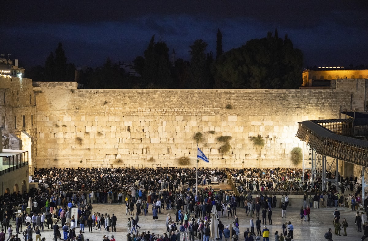 Chaya חיה 🇮🇱🌻 tweet media