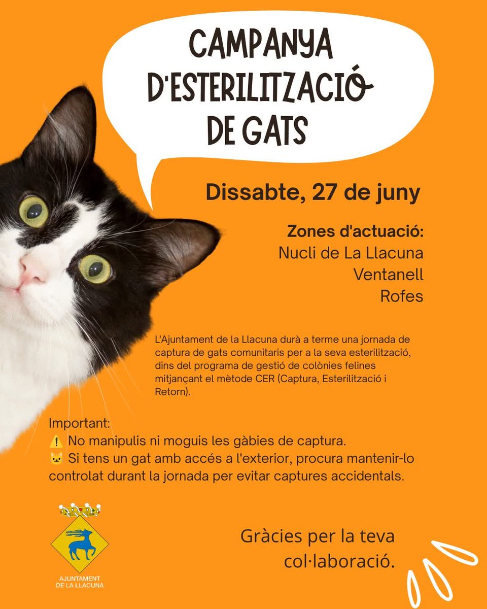 lallacuna's tweet photo. Aquest cap de setmana comença una campanya per esterilitzar gats de carrer.
L'Ajuntament fa una crida a la col·laboració ciutadana perquè la jornada es desenvolupi amb normalitat i eficàcia.

Noticia a 🔗https://t.co/EKrBSXGinY https://t.co/JC9dn50iKi