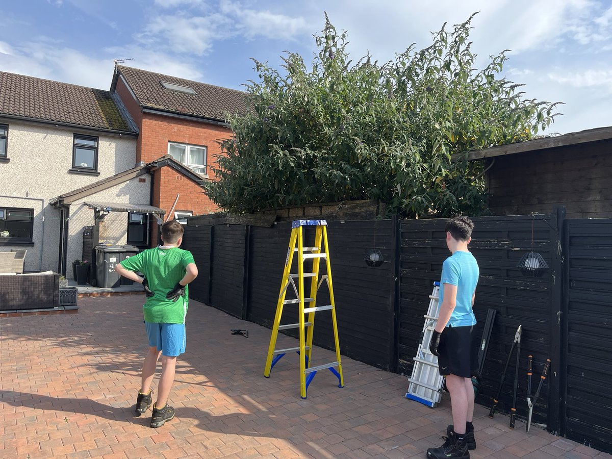 artilleryyc's tweet photo. Three very different gardens tackled tonight belonging to older residents. Bit of tree pruning, weed control, lawn care and cutting back bushes. A soft wash on two of the concrete and tile surfaces. Teaching these young people responsibility, skills and community spirit. https://t.co/1muKYoh3Ml