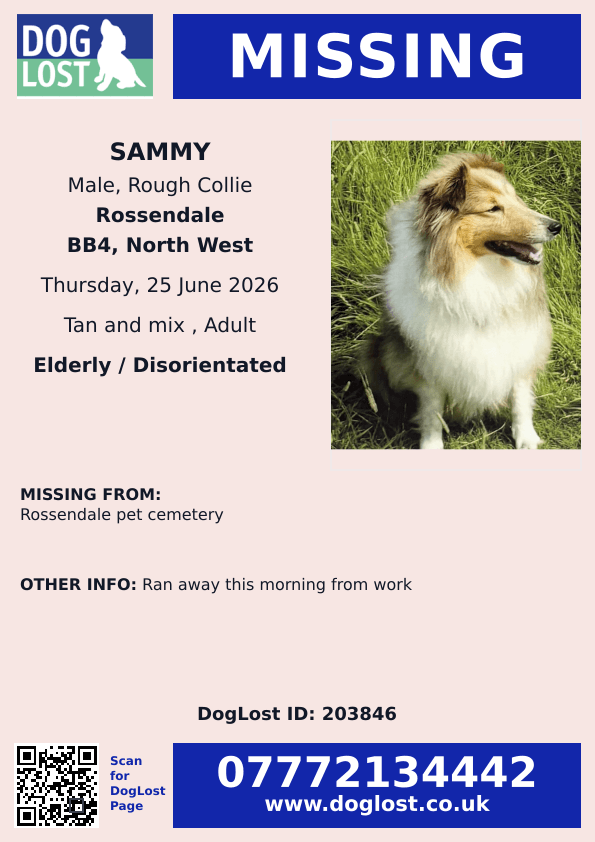 millypod1's tweet photo. 🆘25 JUNE 2026 #Lost Sammy #ScanMe
ELDERLY Rough Collie Male
Rossendale Pet Cemetery #Crawshawbooth #BB4
#Rossendale #Lancashire
Ran away this morning from work
https://t.co/b0bT7y6k3i https://t.co/ooPMFYeE0J