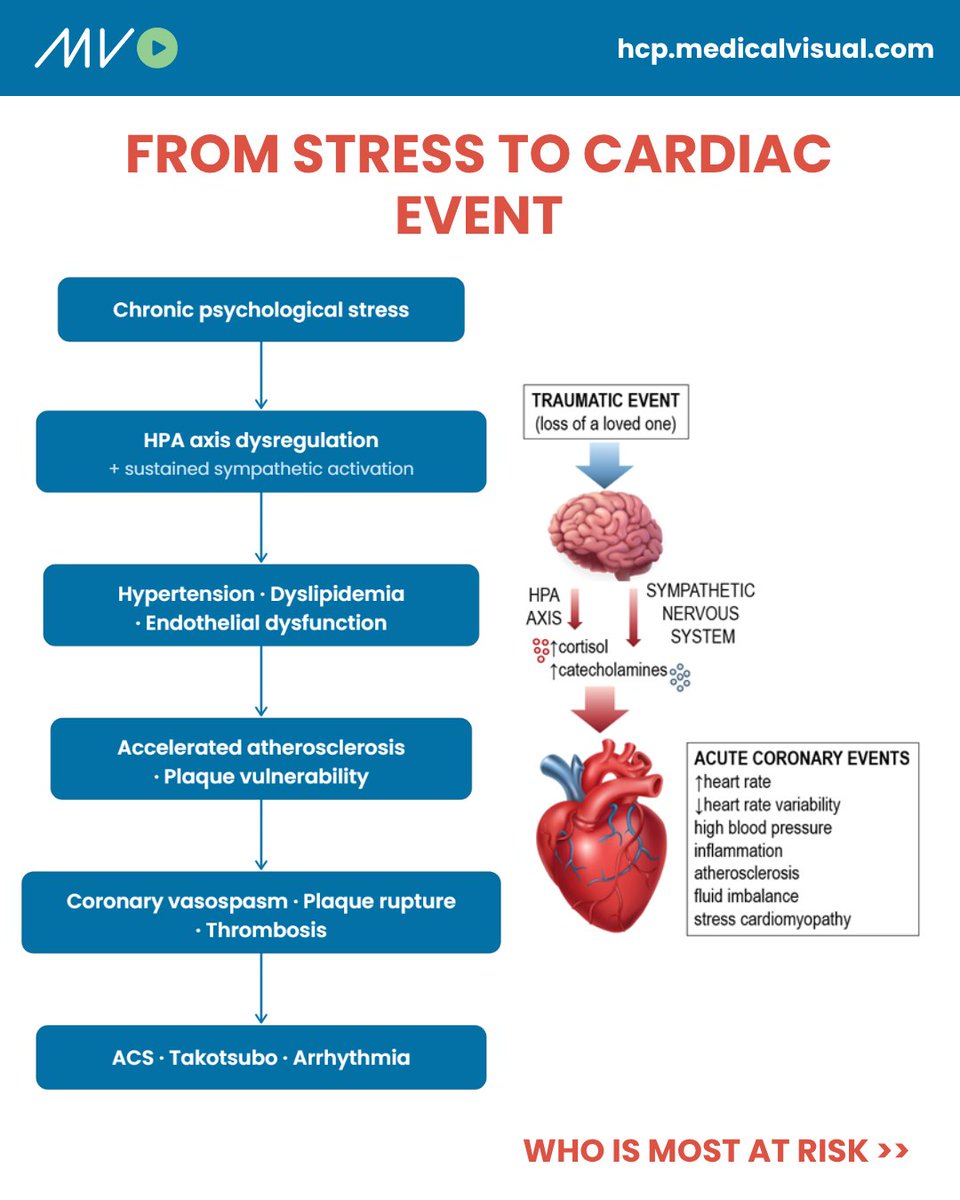CardioVisual: Powered by MedicalVisual tweet media