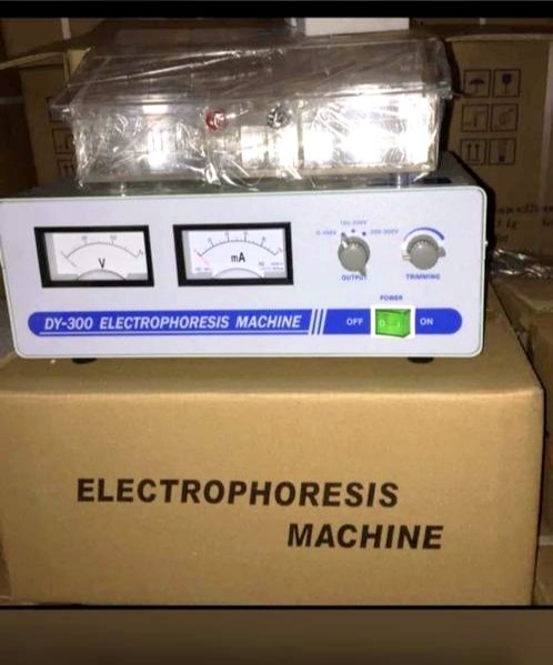 DelsonScientifi's tweet photo. The DY-300 Electrophoresis Machine is a compact, reliable laboratory device designed for efficient separation of DNA, RNA, or proteins using an electric field.

Contact /WhatsApp us now. +2348067219578 https://t.co/JWhXoRg4eK