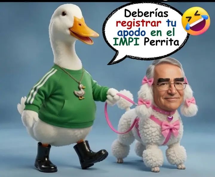 elexelente's tweet photo. Jajajaja no mamssss Jajajaja 🤣 🙊 🙈 😂 😅 😜 🤣 🙊 🙈 😂 https://t.co/t9so4HJrKE