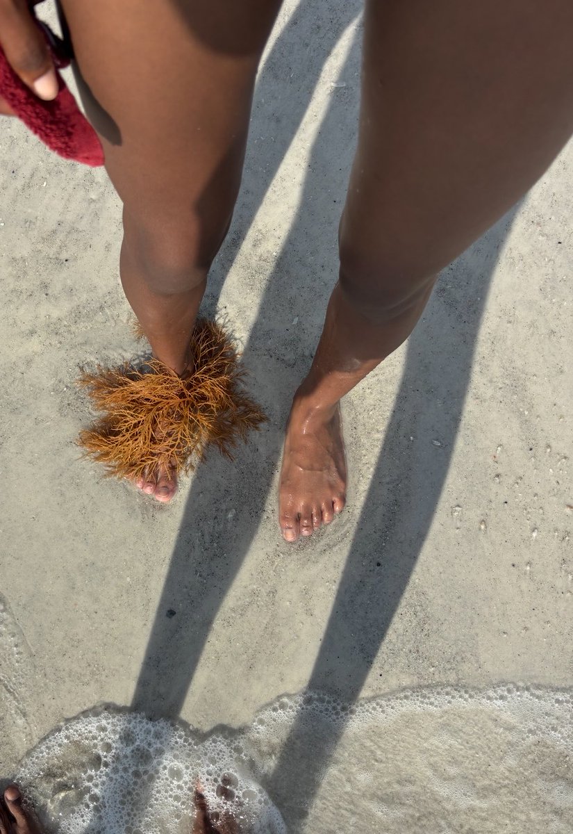 Plutosiren's tweet photo. Everyone loves the beach, right? ☺️ https://t.co/gTezkc202M