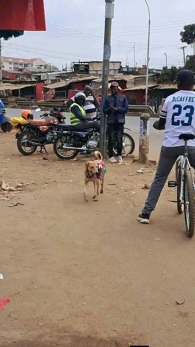 frostalkaline's tweet photo. Bosco Joins maandamano https://t.co/ZCfHDYKf5C