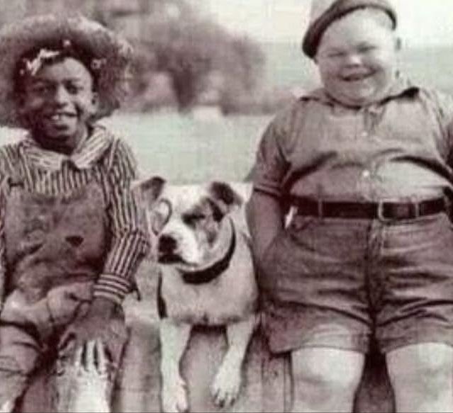 MikeBales's tweet photo. I never knew Barack Obama and J.B. Pritzker were childhood friends. https://t.co/9Jk56T7yme