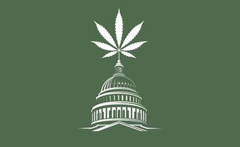 repdinatitus's tweet photo. The SAFE Banking Act is a critical step towards ending outdated federal barriers that put legitimate cannabis businesses at a disadvantage. I am introducing this bill today to protect livelihoods and strengthen an industry that employs over 400,000 Americans. @NORML @ABABankers https://t.co/oIBnZzye8L