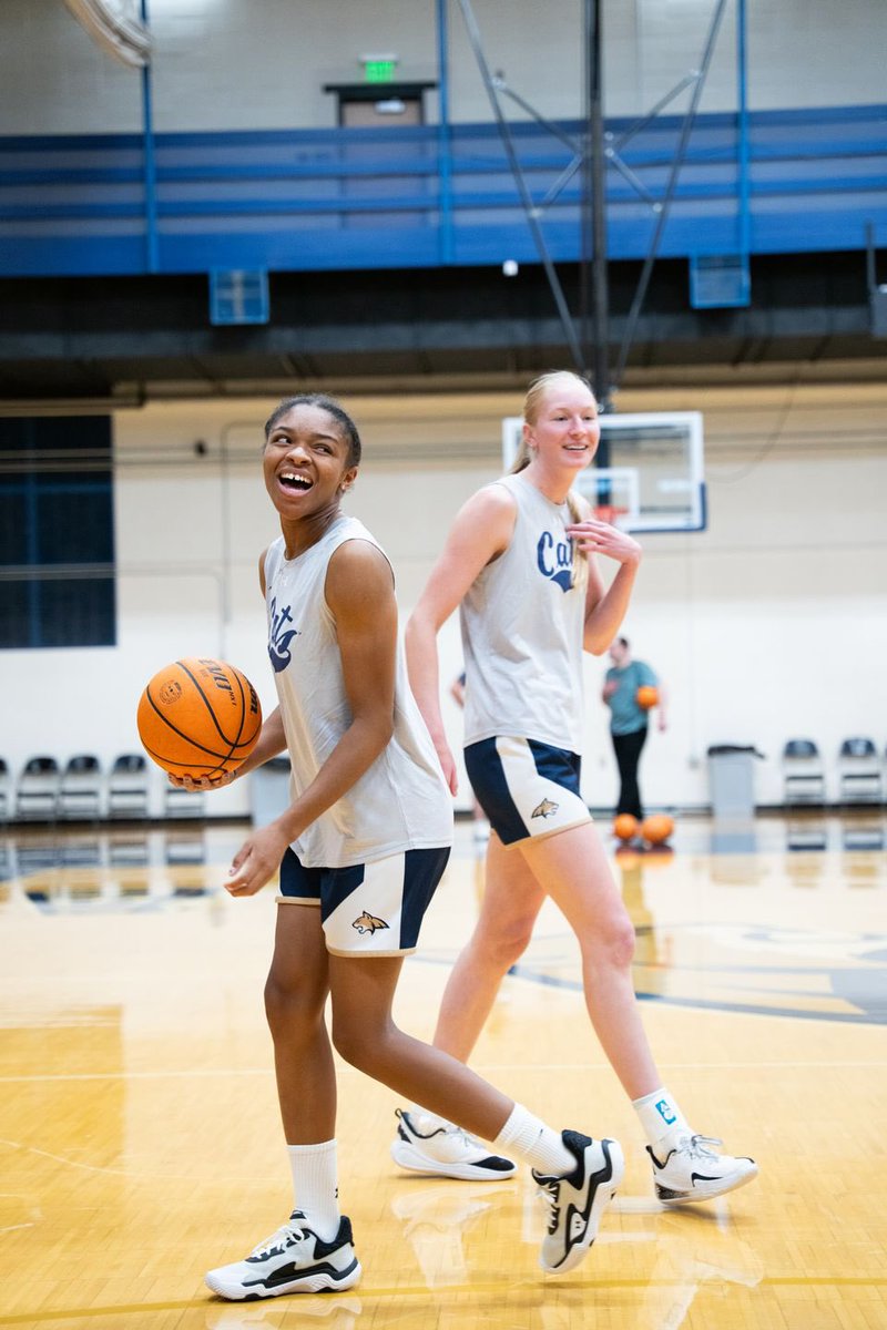 MSUBobcatsWBB's tweet photo. Back to work here in Bozeman 🤝

#GoCatsGo https://t.co/WayJ0EcKwy