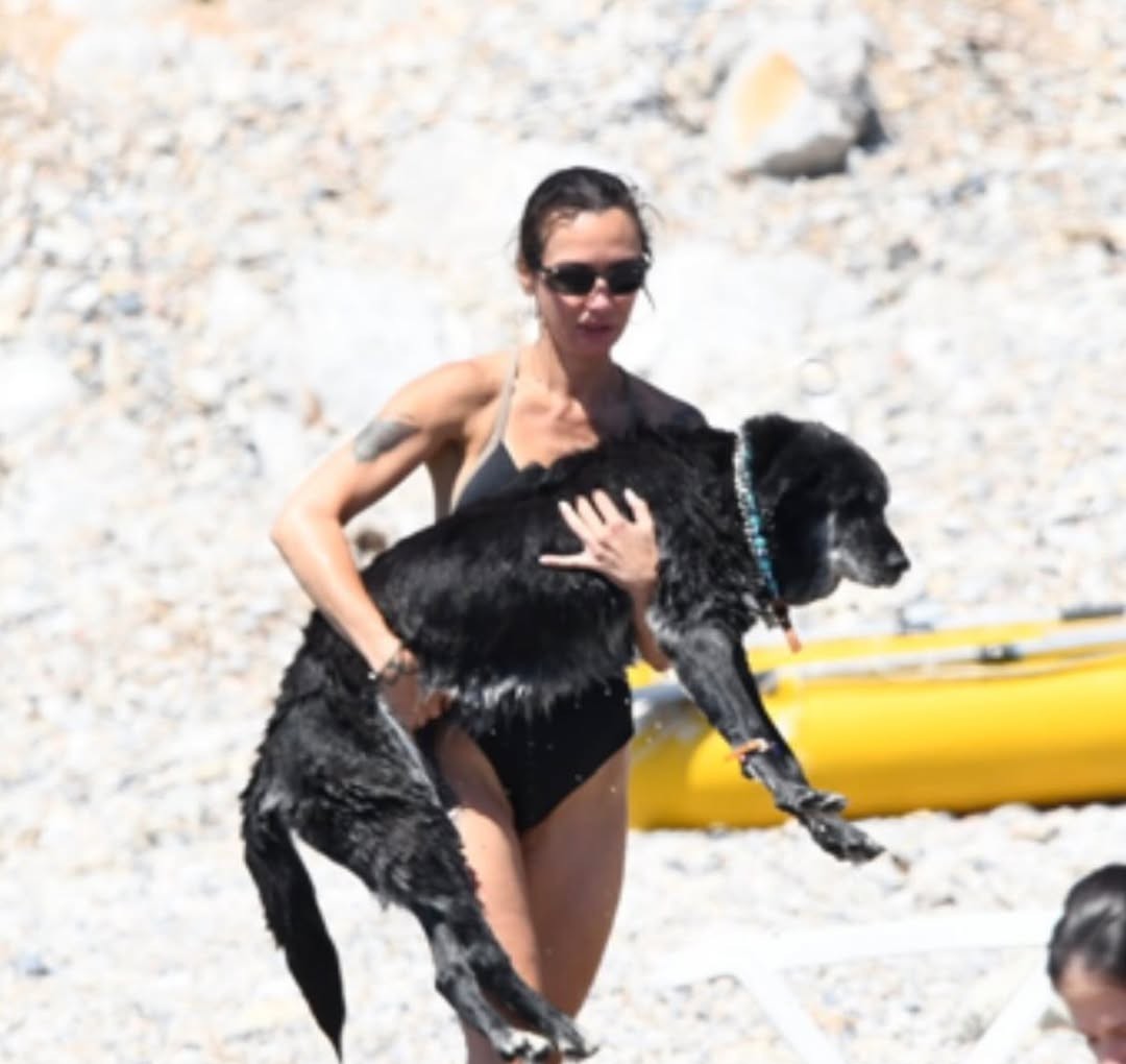 populicc's tweet photo. Birce Akalay, köpeğiyle birlikte Bodrum'da denizin tadını çıkarırken görüntülendi. (Gazete Magazin) https://t.co/LRy7epywyB