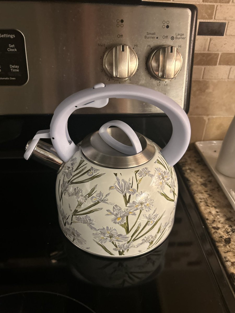 cravingtreebark's tweet photo. i got a kettle for my tea i’m so happiiiiii https://t.co/XVfOuRTne5